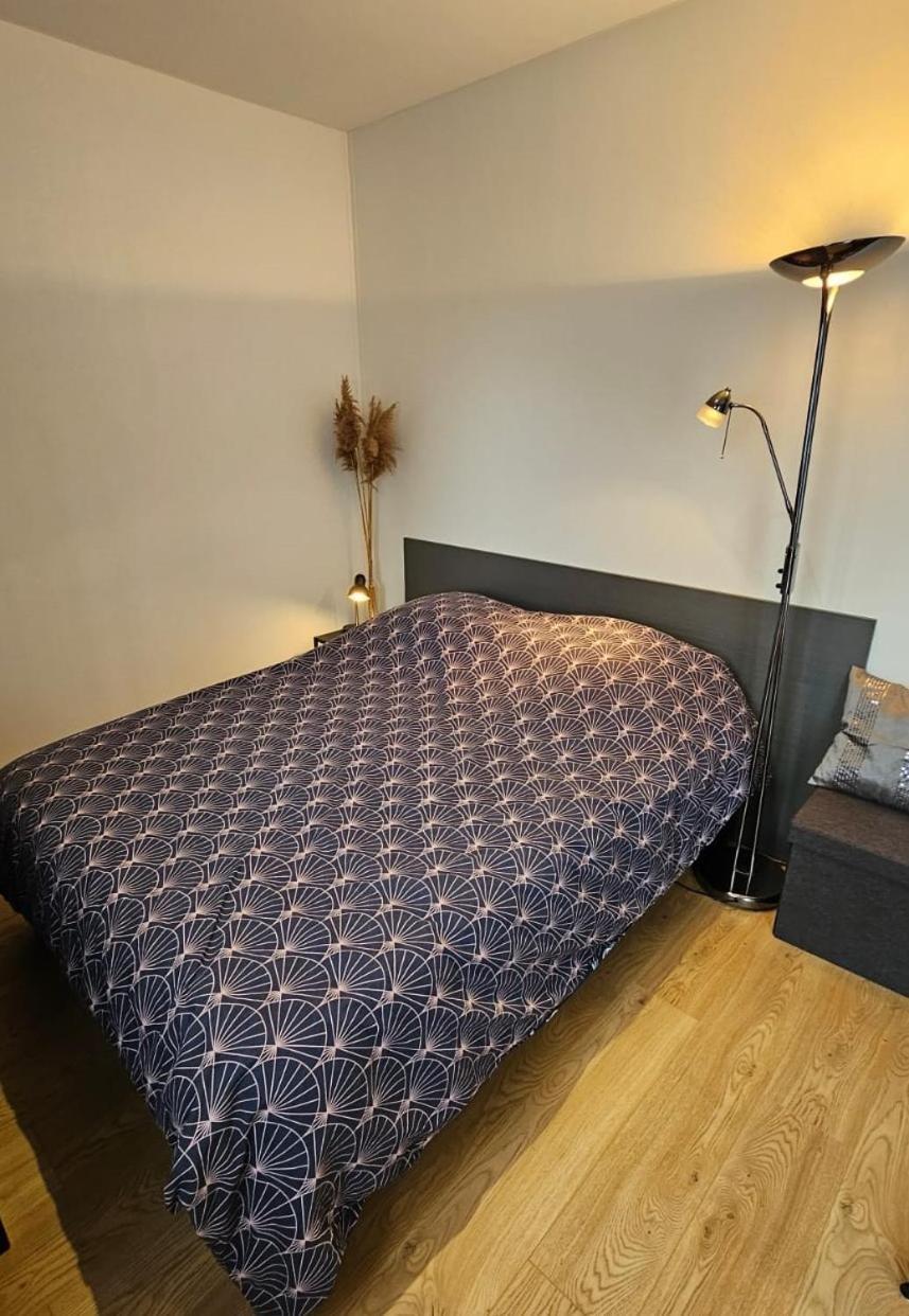 Studio Les Deux Grenouilles 5Mn De Colmar Herrlisheim-pres-Colmar Exterior photo
